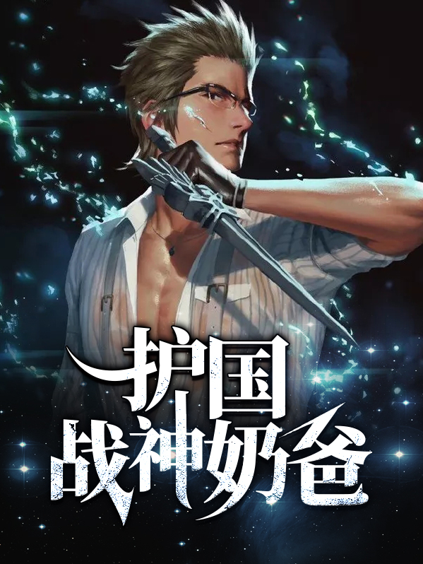 护国战神奶爸小说