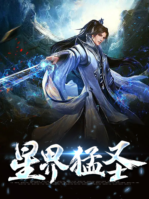 荣耀星界圣盾