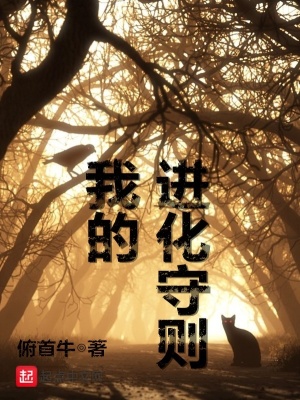 我的进化之旅