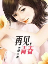 再见青春年少小说