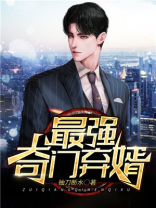 最强奇门弃婿视频全集