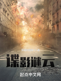 谍影谜云TXT下载