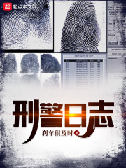 刑警日志小说