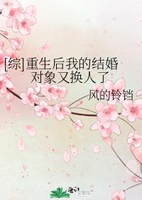 重生后我嫁给了对象的死对头