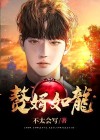 赘婿如龙 不太会写