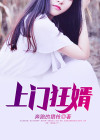 上门狂婿叶峰北境 小说