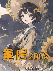 重启2003小说