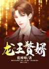 龙王赘婿广告
