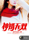无双神婿苏辰