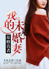 我的未婚妻是修真者 小说