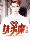 复仇从一枚硬币开始小说