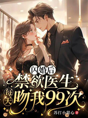 医生闪婚文
