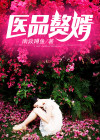 医品赘婿白毅免费阅读