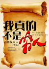 我真的不是穷人小说