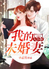   我的大小姐未婚妻