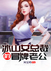 冰山女总裁的冒牌男友免费阅读