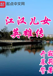 江汉儿女英雄传小说全文