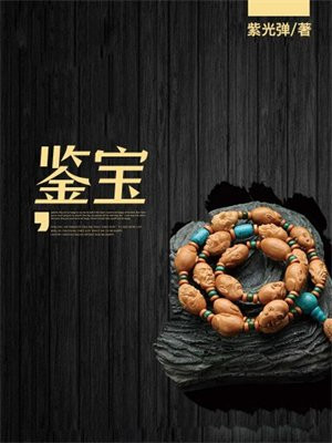 鉴宝金瞳小说最新章节免费阅读全文