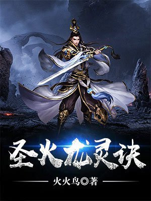 圣火龙灵诀小说