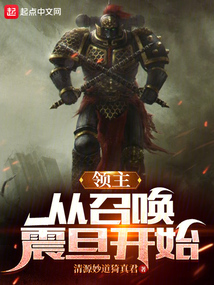从领主开始 小说
