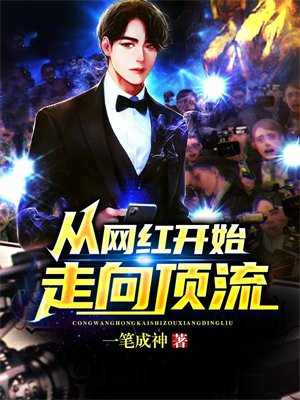 从网红到明星小说