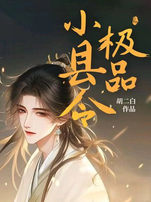 极品小县令小说阅读