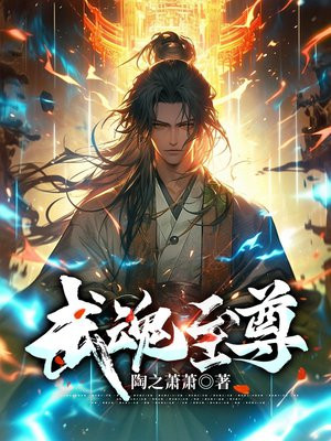 武魂至尊贼公子百度百科