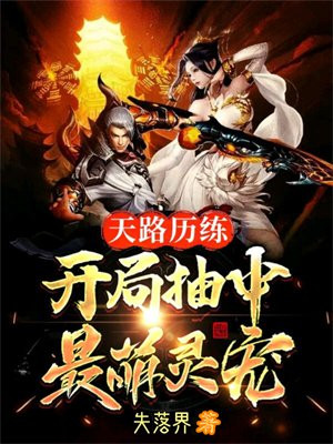 小说:天路