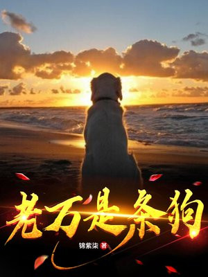 老万什么意思