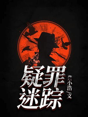 疑犯迷踪电视剧