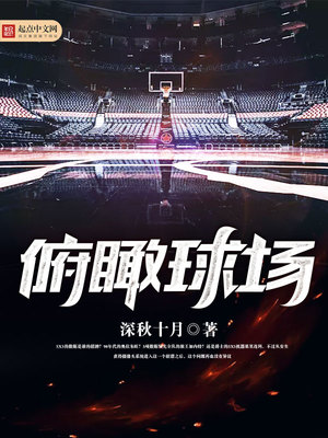 俯瞰球场笔趣阁