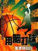 用脑打球txt