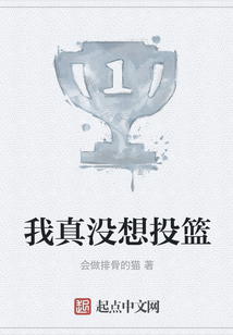 我真没想投篮TXT下载