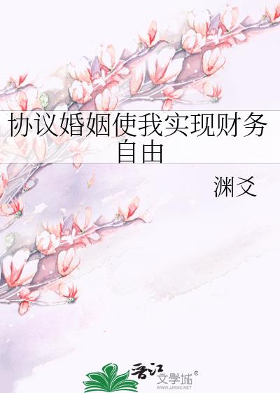 协议婚姻使我实现财务自由TXT