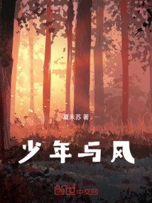 少年与风