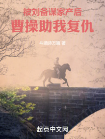 被刘备谋家产后,孟德迎我入曹营免费阅读