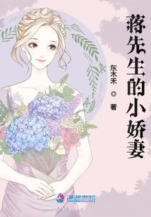蒋先生小娇妻小说