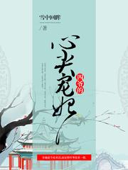 锦绣清宫:四爷的心尖宠妃
