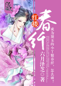 红楼春纤有异能的小说