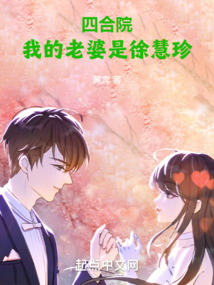 四合院徐慧珍的小说
