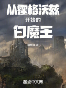 来自霍格沃兹的新魔王小说