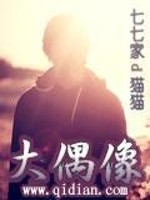 大偶像找小说