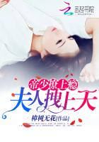 帝少撩上瘾:夫人拽上天全文免费阅读