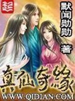 真仙奇缘境界划分