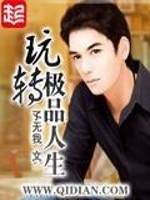 玩转极品人生TXT免费下载