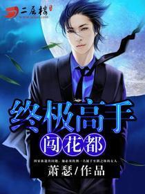 终极高手闯花都萧云