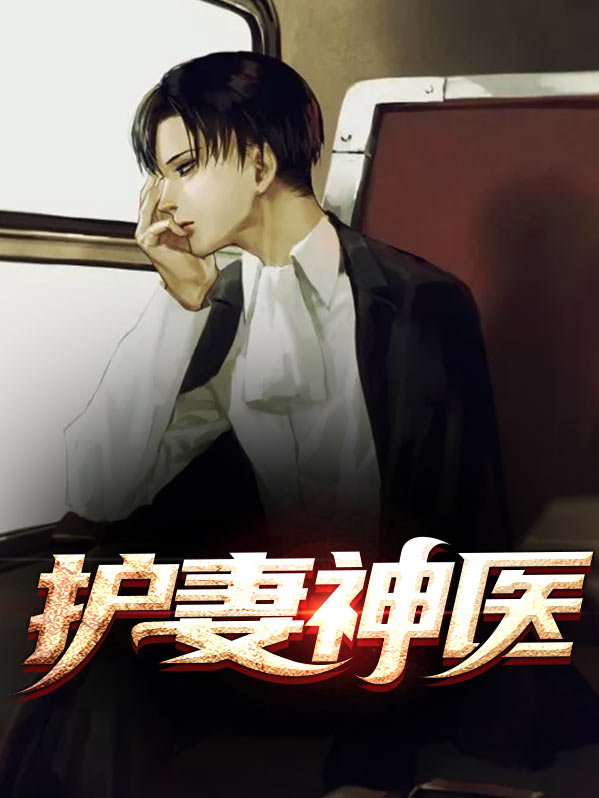 护妻狂魔小说