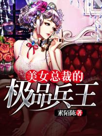 小说美女总裁的极品兵王都市热血