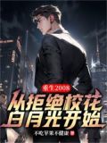 重生2008:从拒绝校花白月光开始