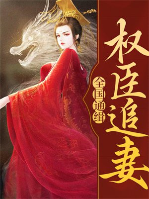 权臣的追妻葬火场小说
